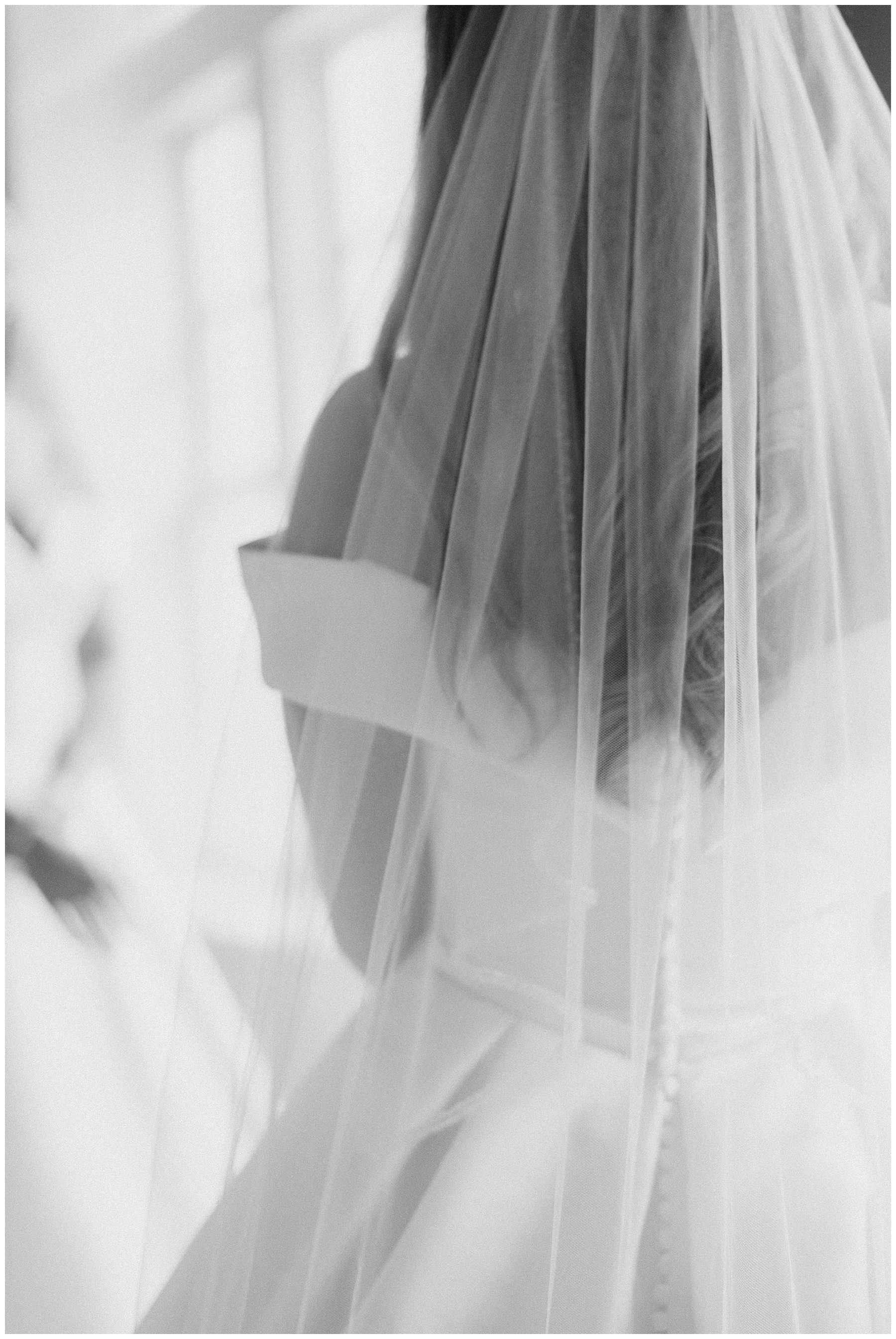 back of bride's veil