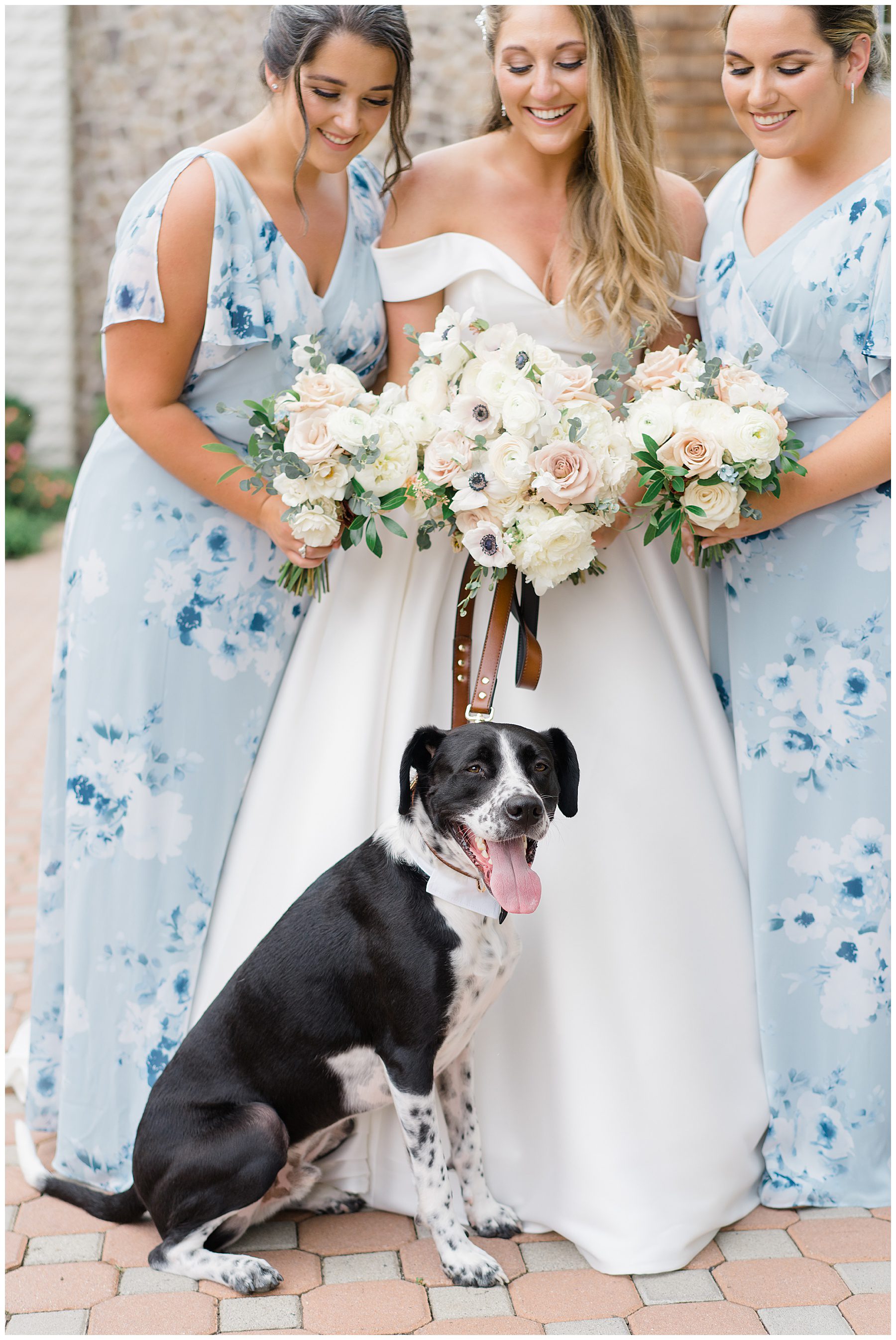 bride and bridesmaids with dog