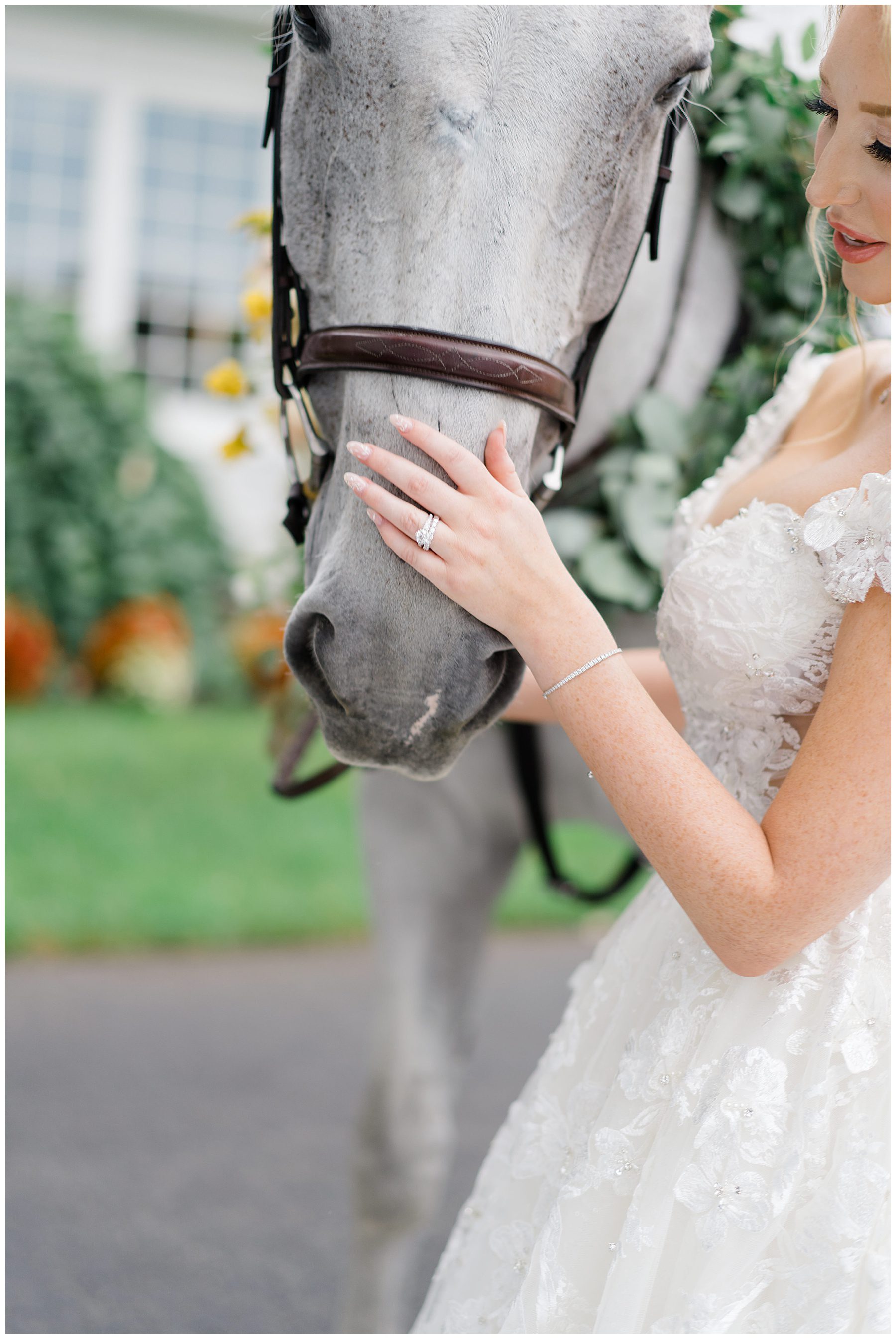 bride pets white horse