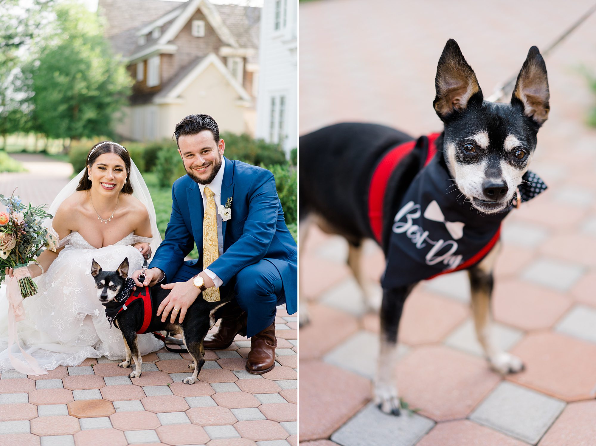 bride and groom with their "best dog" after ceremony