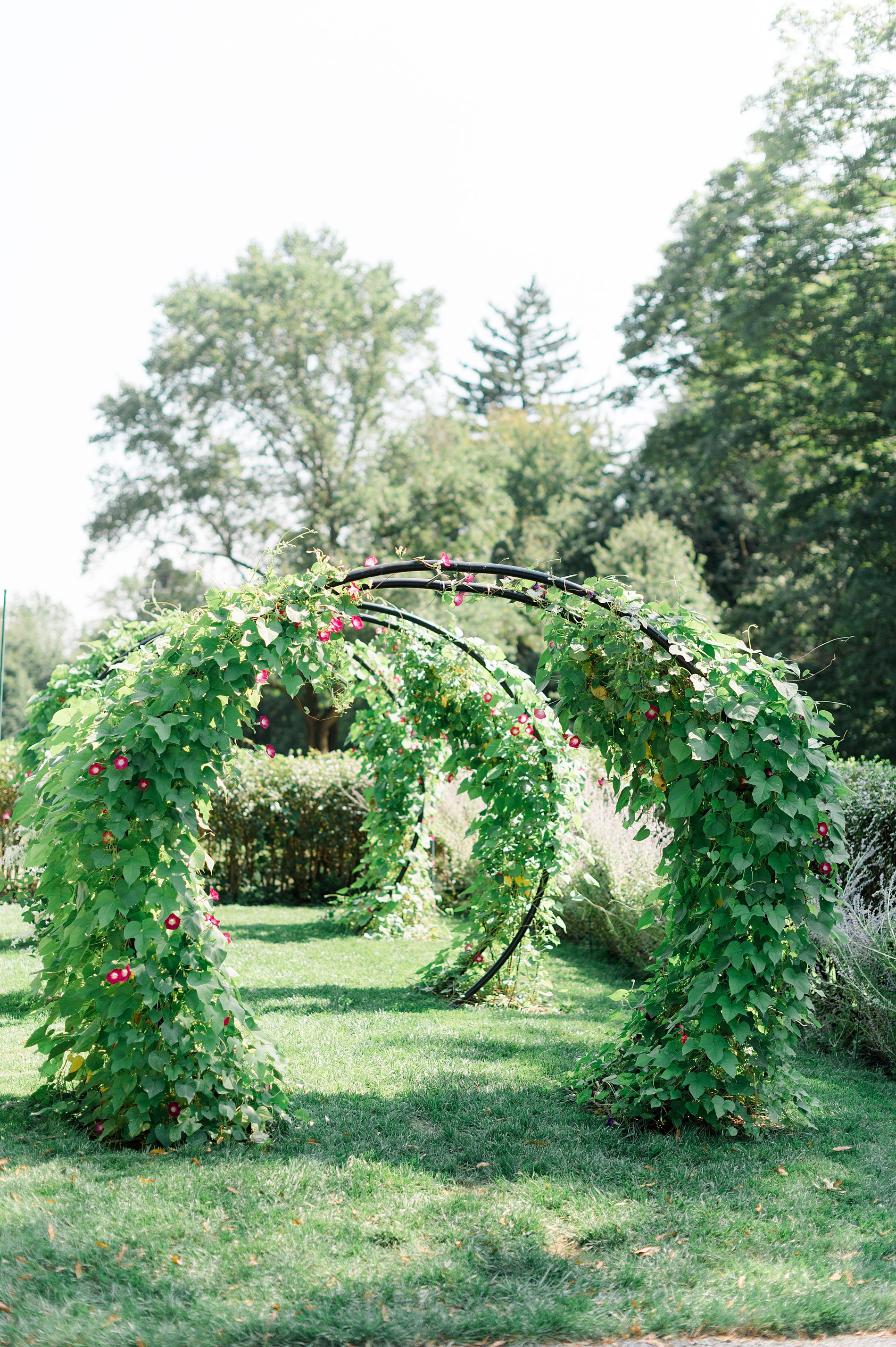 Enchanting Curtis Arboretum Wedding