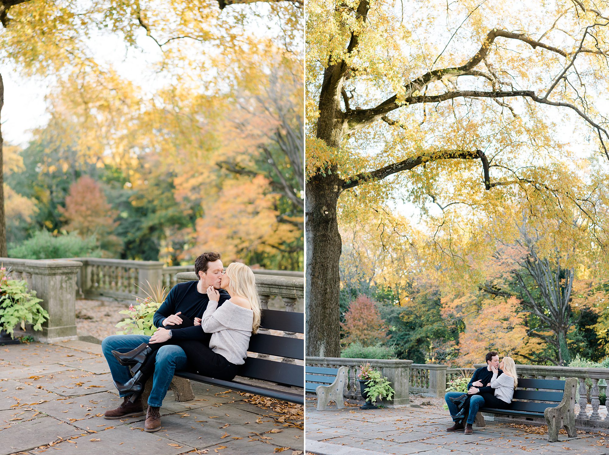 engaged couple sit on a bench under fall tree