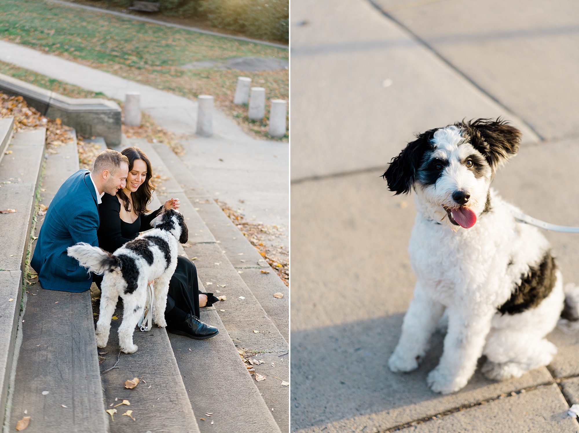 Engagement portraits with dog
