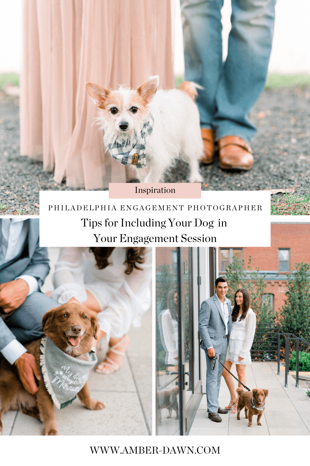 Including Your Dog in Your Engagement Photos