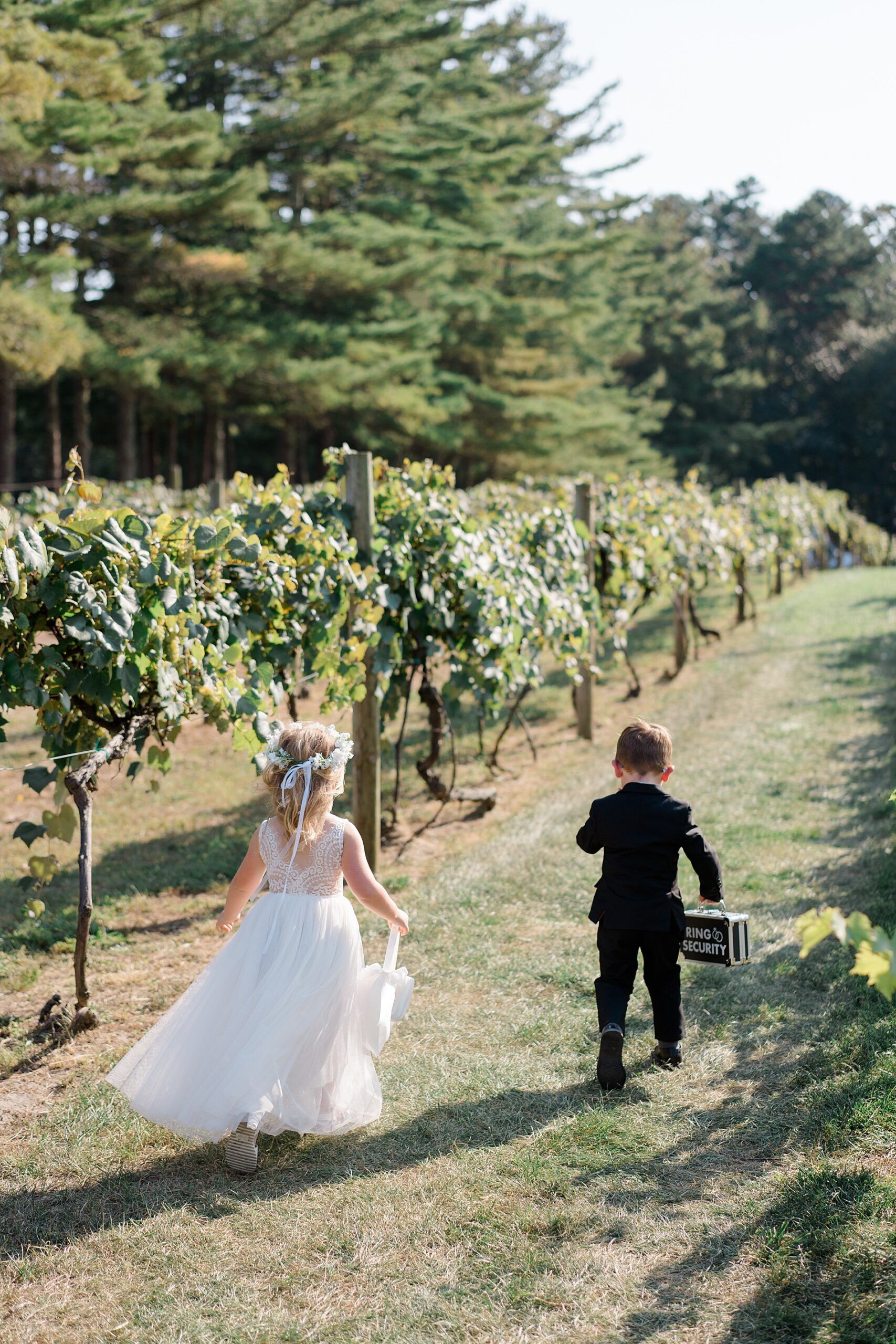 flower girl and ring bearer walk down aisle at vineyard for Summer Wedding at Renault Winery