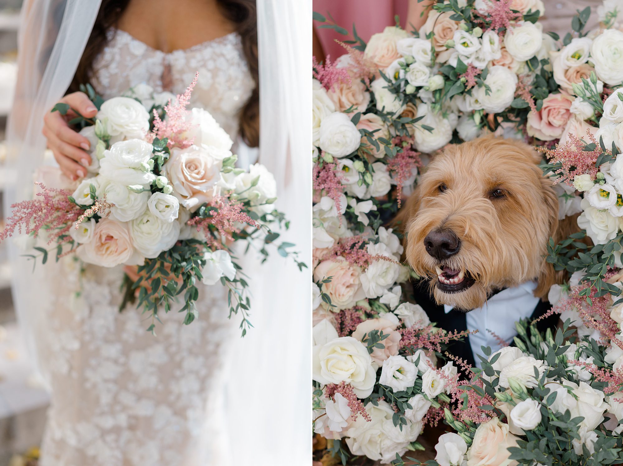 bridal bouquet and dog with wedding bouquets surrounding him 