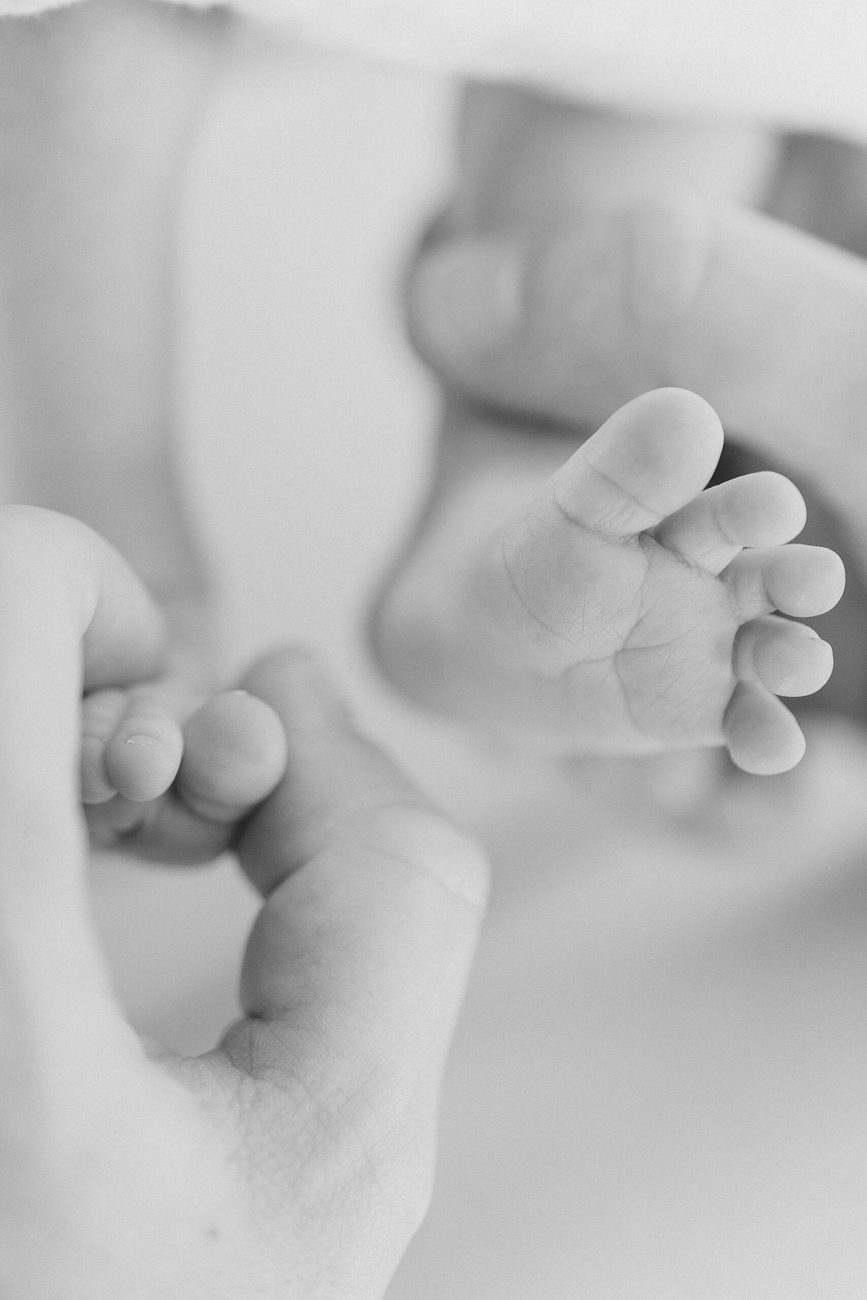 newborn toes  