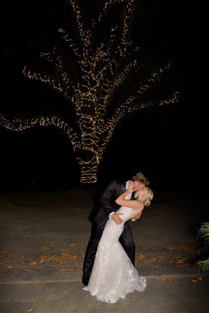 Bride and Groom night image with tree lit up by twinkle lights at Curtis Arboretum